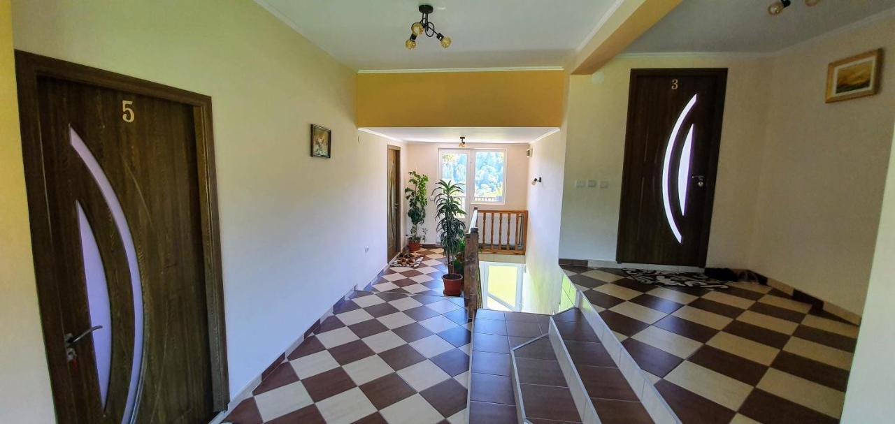 Casa Elena Guest House Bran  Exterior photo