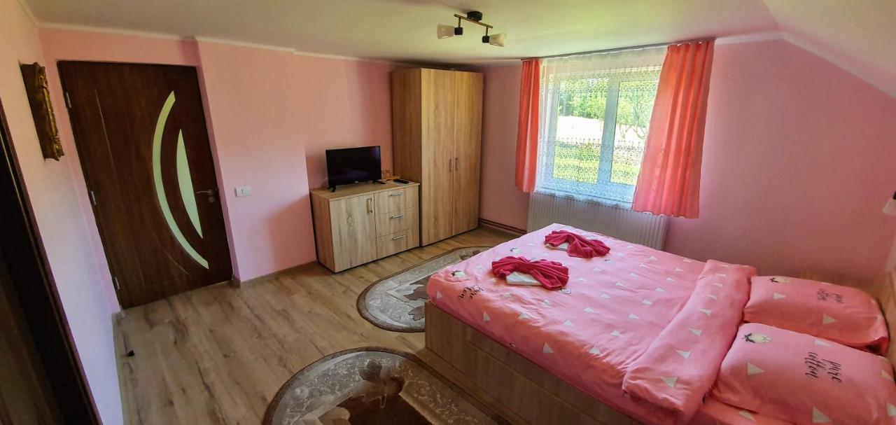 Casa Elena Guest House Bran  Room photo