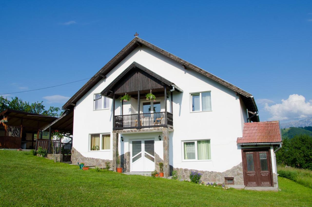 Casa Elena Guest House Bran  Exterior photo
